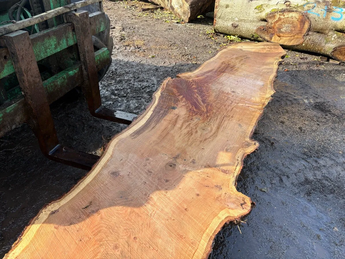 Oak Timber - Image 1