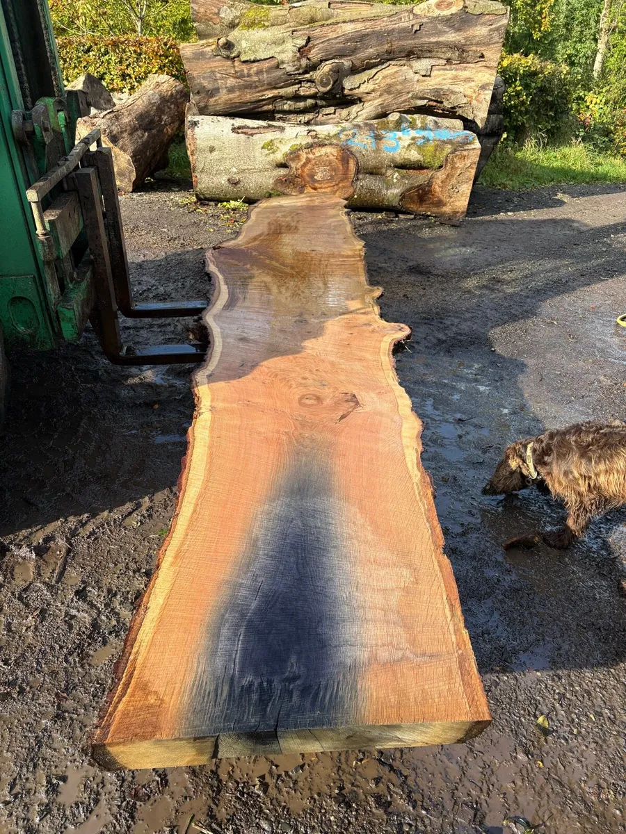 Oak Timber - Image 2