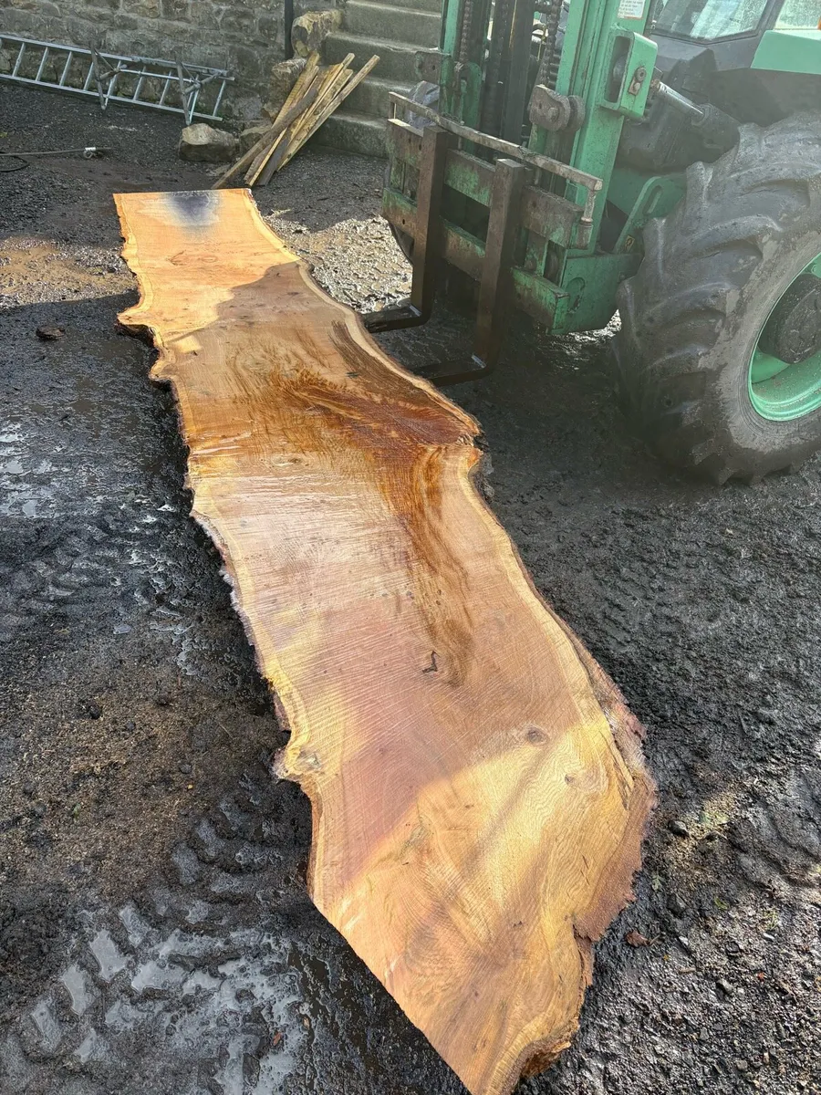 Oak Timber - Image 3
