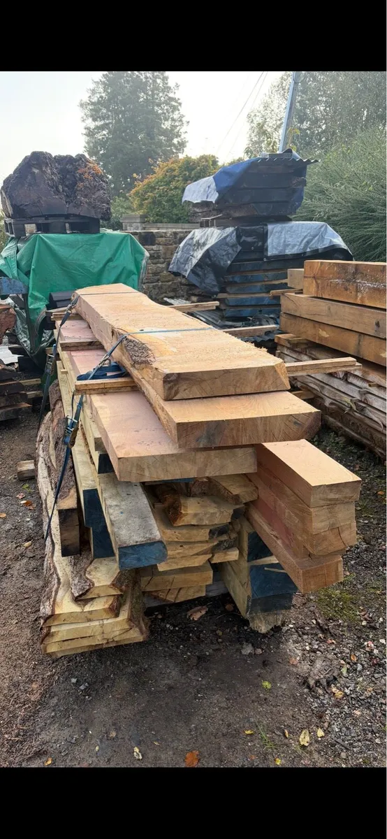Oak Timber - Image 4