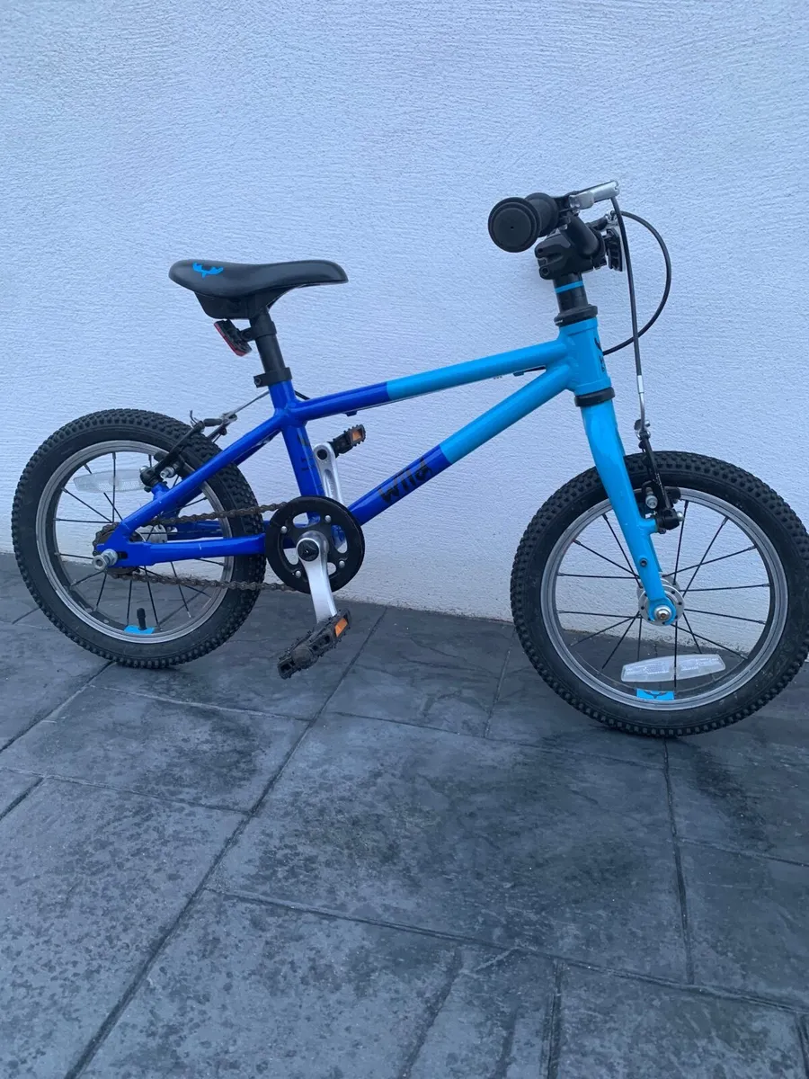 Kids Wild Bike - Image 1