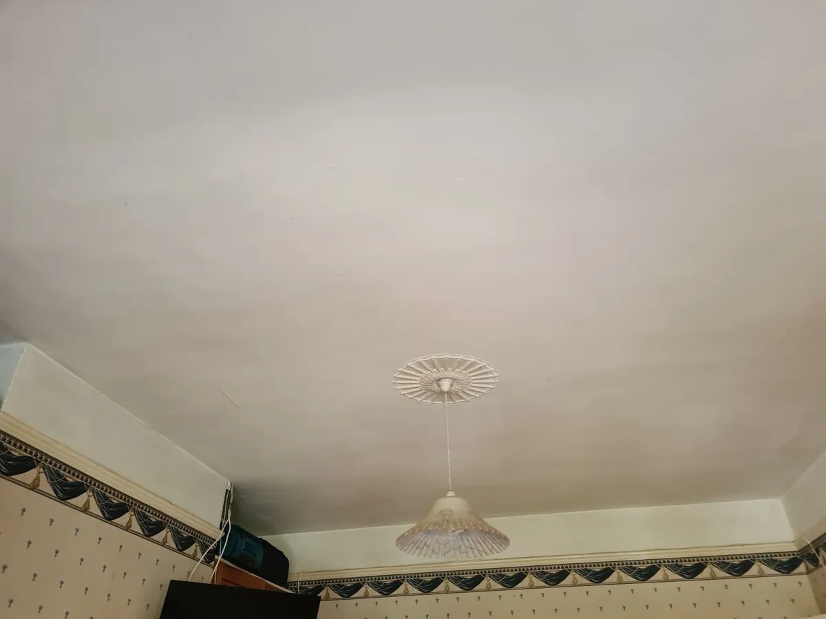 Painter required - Image 2