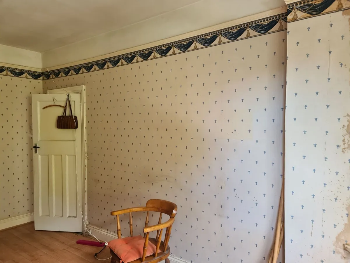 Painter required - Image 4