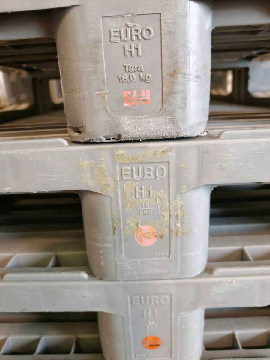 Plastic euro pallets - Image 2