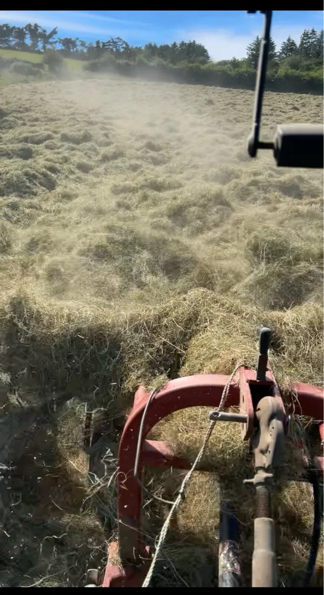 Hay - Image 2
