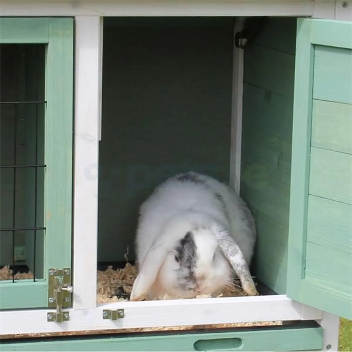Rabbit Hutch - Image 4