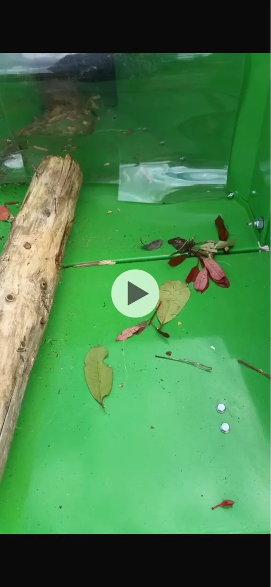 Wood chipping service available - Image 3