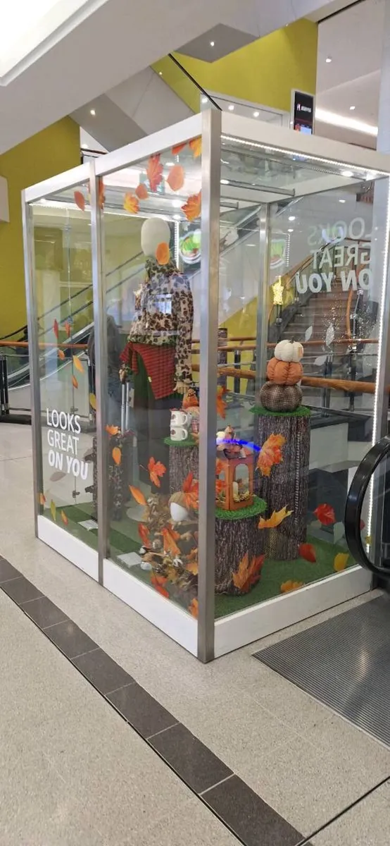 Display boxes