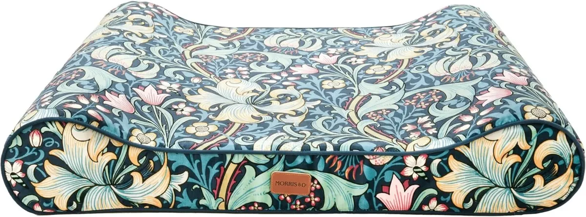 X Morris Co. Golden Lily Reclining Mattress - Image 1