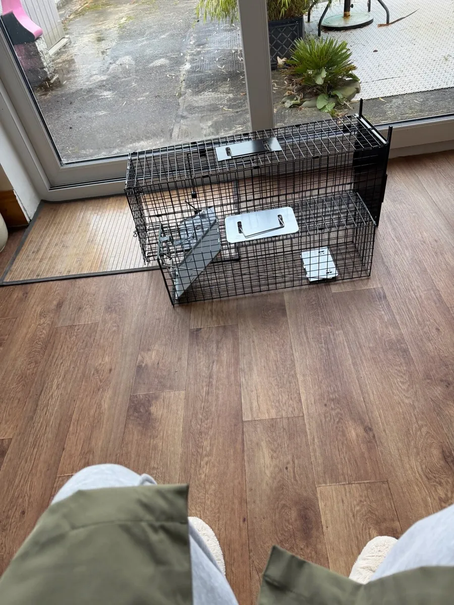 Cat trap and mink trap for free