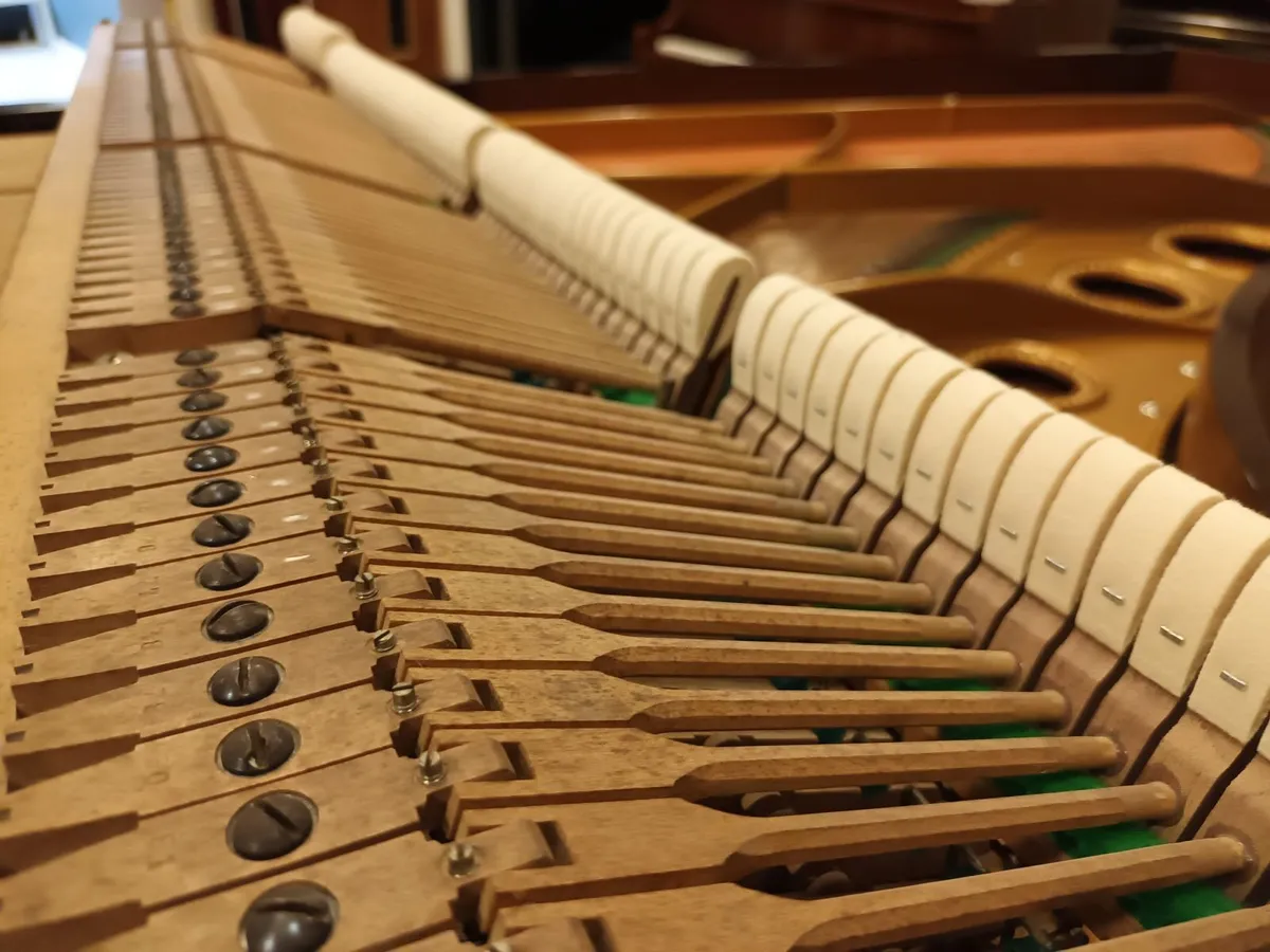 Bechstein Model 3 (1897) 7'10" (Restored/Rebuilt) - Image 2
