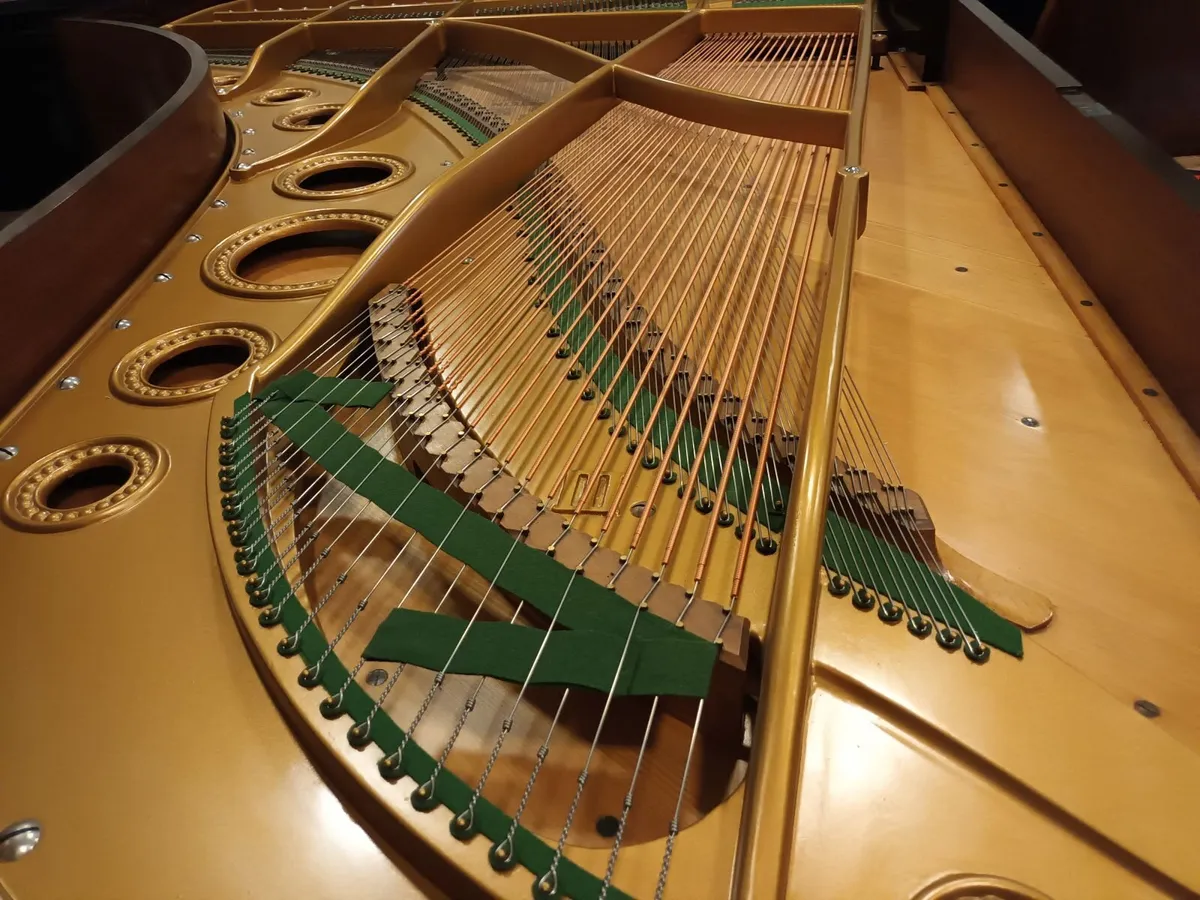 Bechstein Model 3 (1897) 7'10" (Restored/Rebuilt) - Image 4