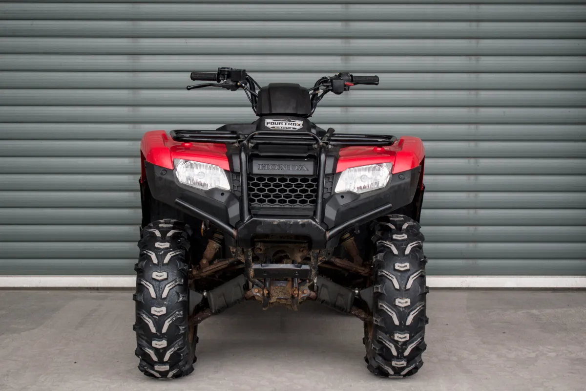 2019 Honda TRX 420FM1 - Image 3