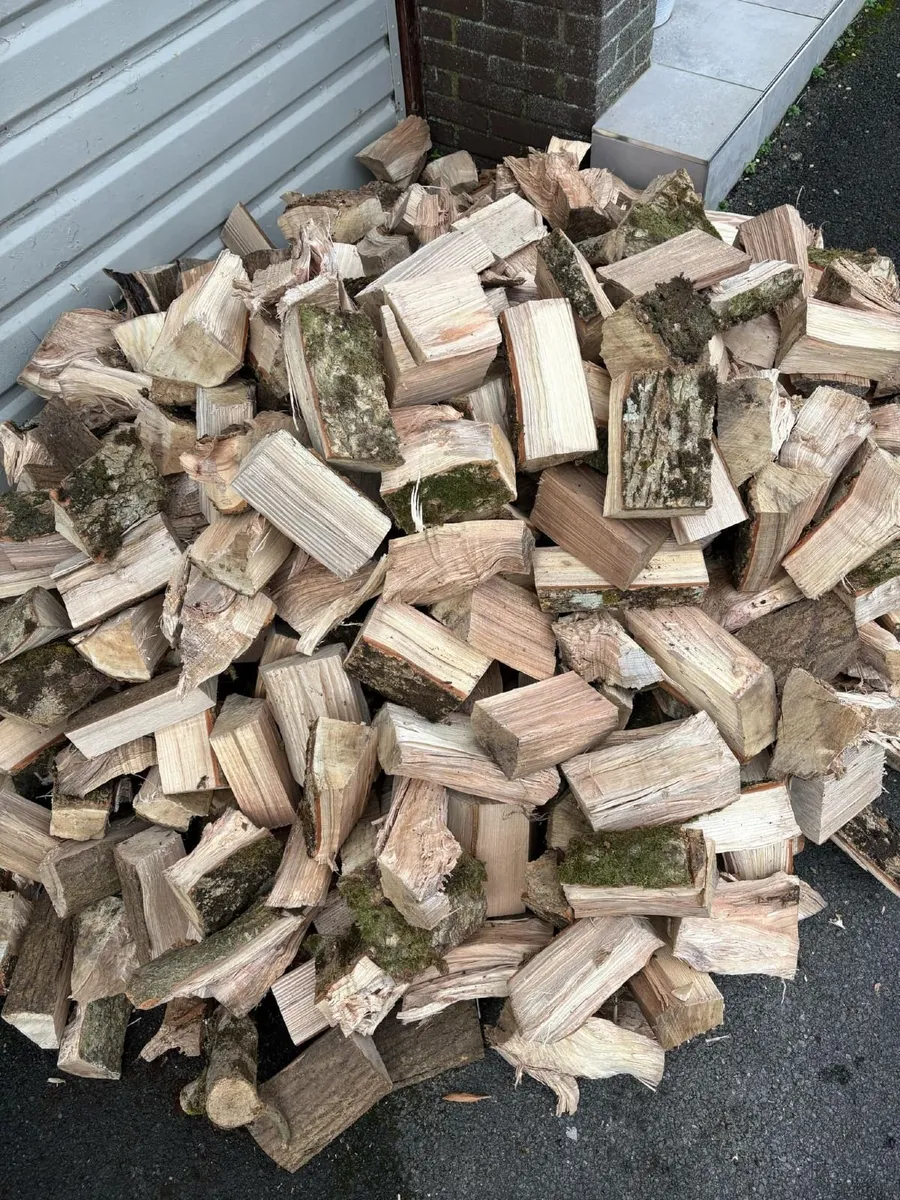 Seasoned firewood - Image 1