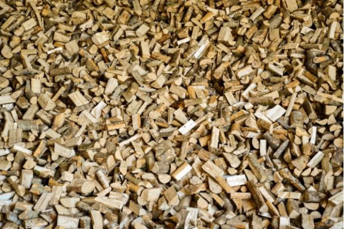 Seasoned firewood - Image 2
