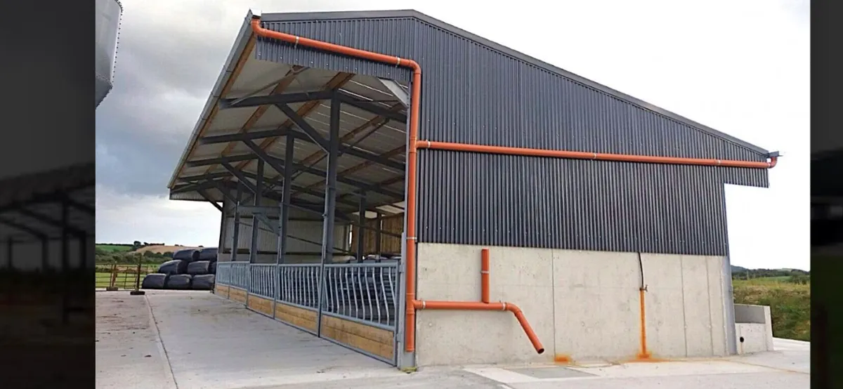 Winter shed wanted and/or grazing