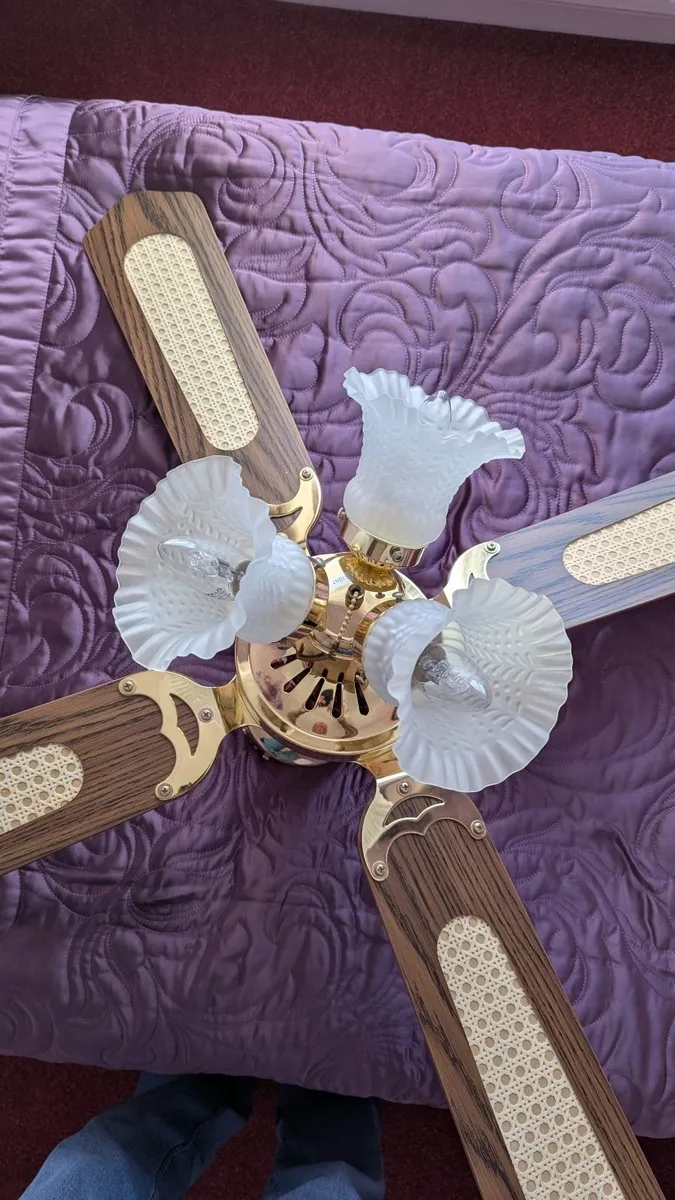 ceiling fan