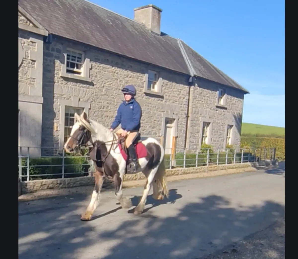 All rounder Cob 15.2h - Image 2