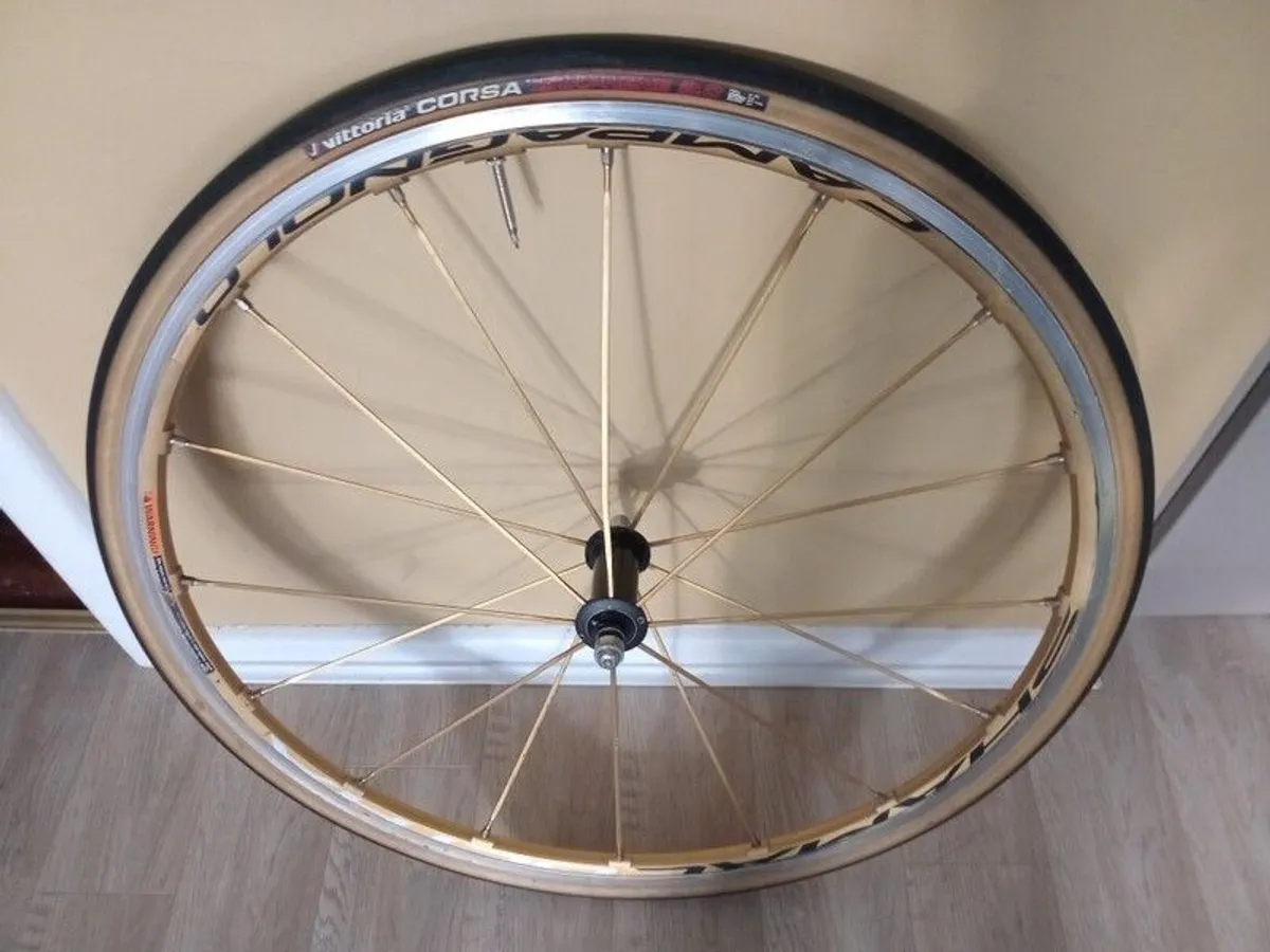 Gold Shamal Ultra Front Wheel Mint Clincher - Image 2