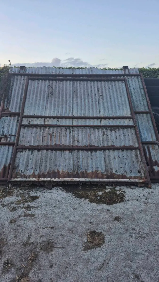 Sheeted Doors - Image 1