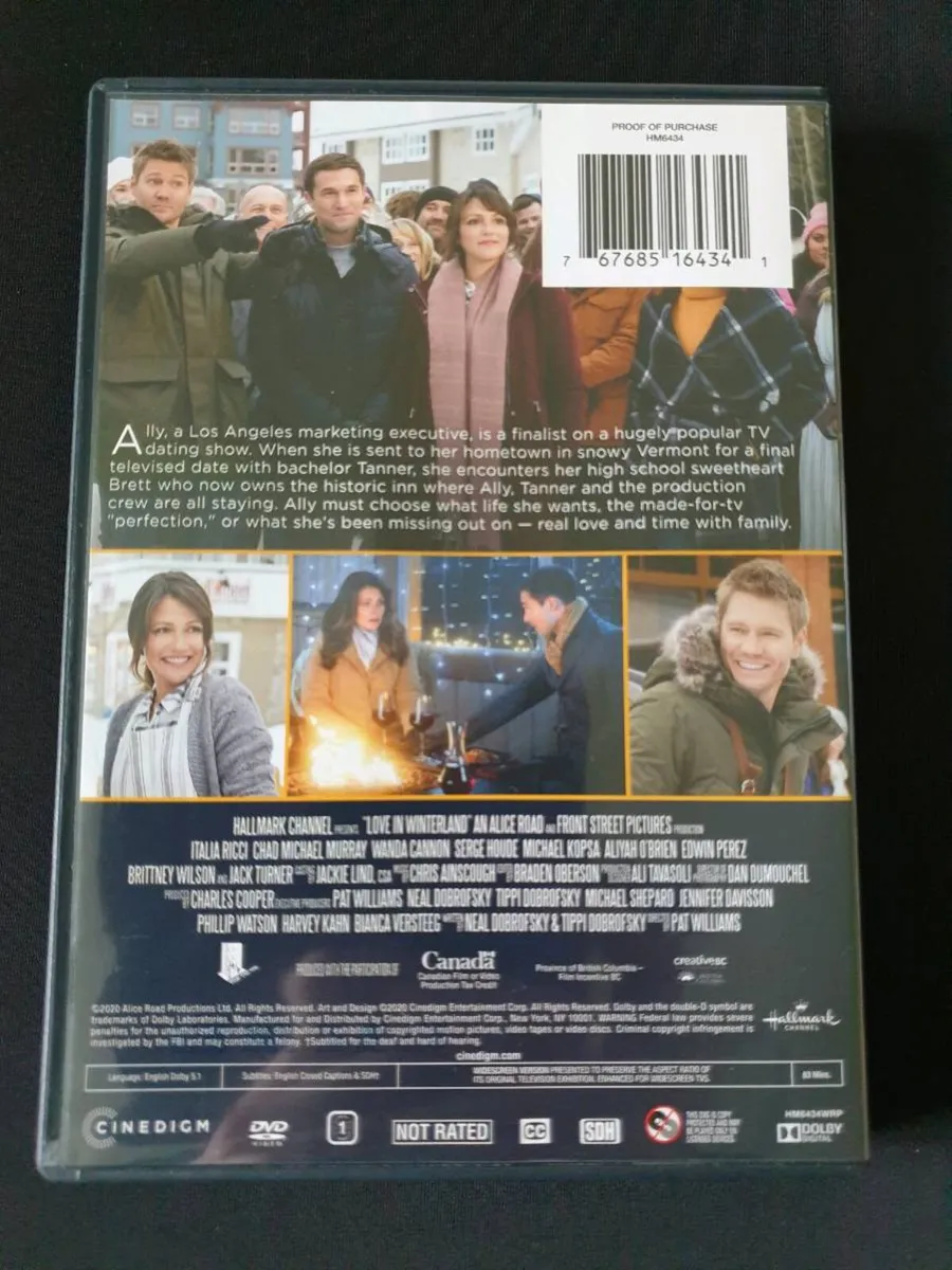 Love in Winterland 2020 DVD Chad Michael Murray - Image 2