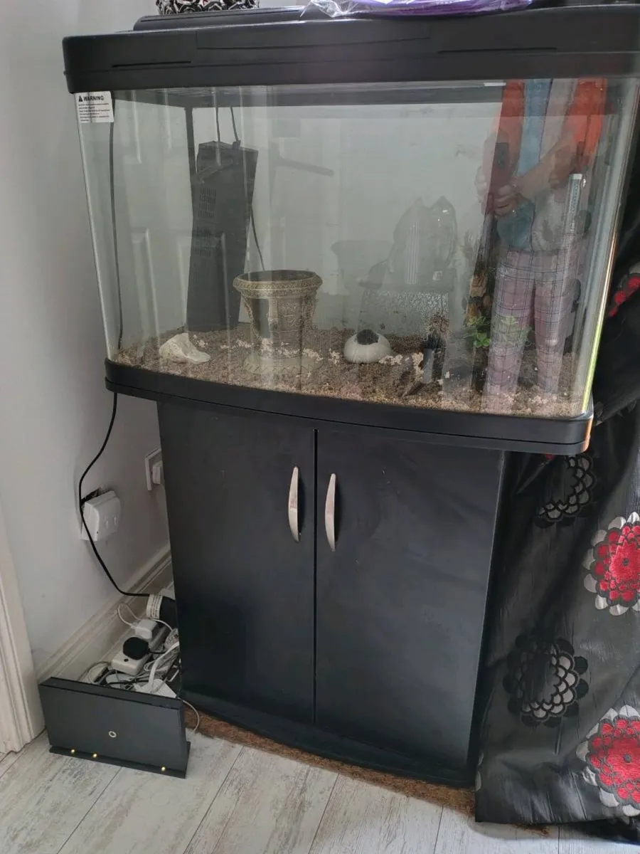 Fish tank - Image 2