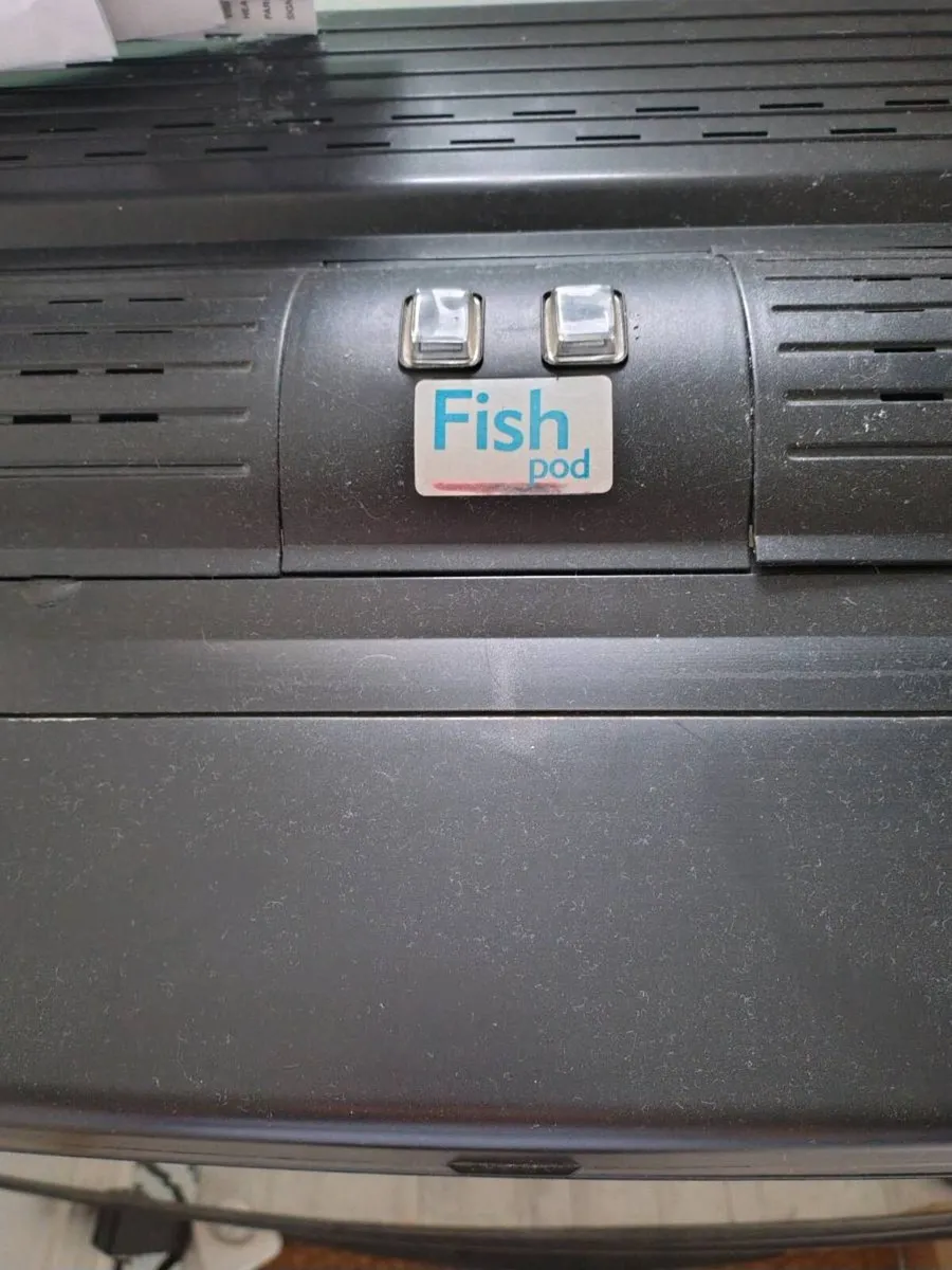 Fish tank - Image 4