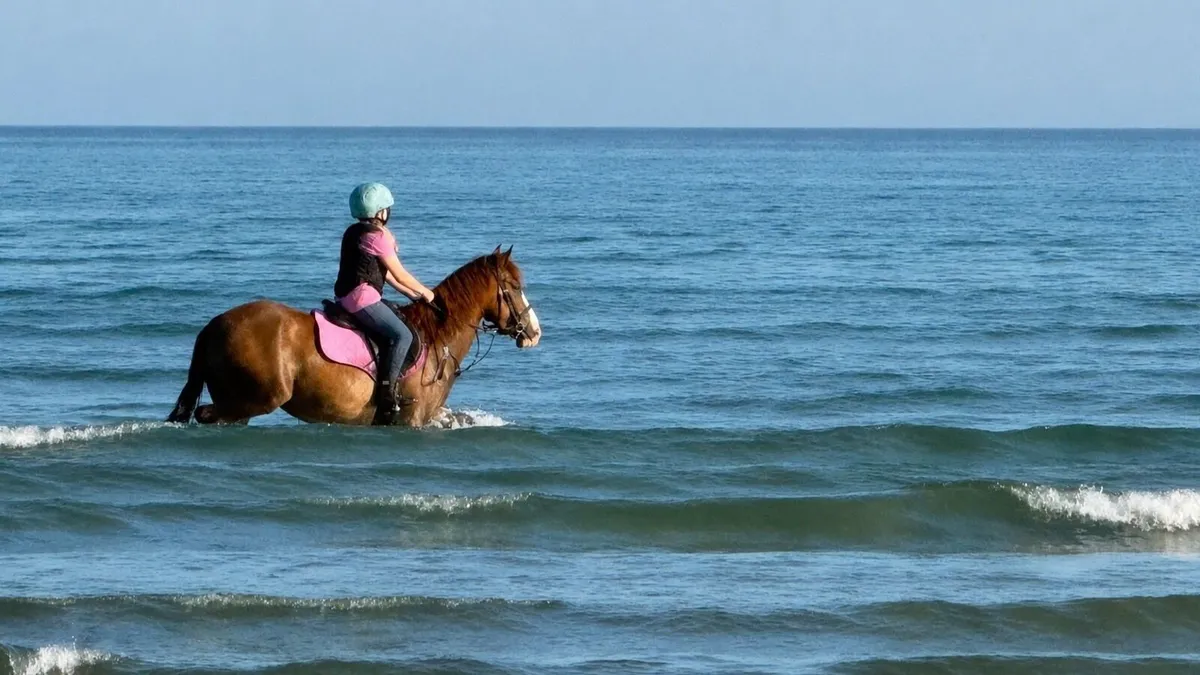 Pony - Image 1