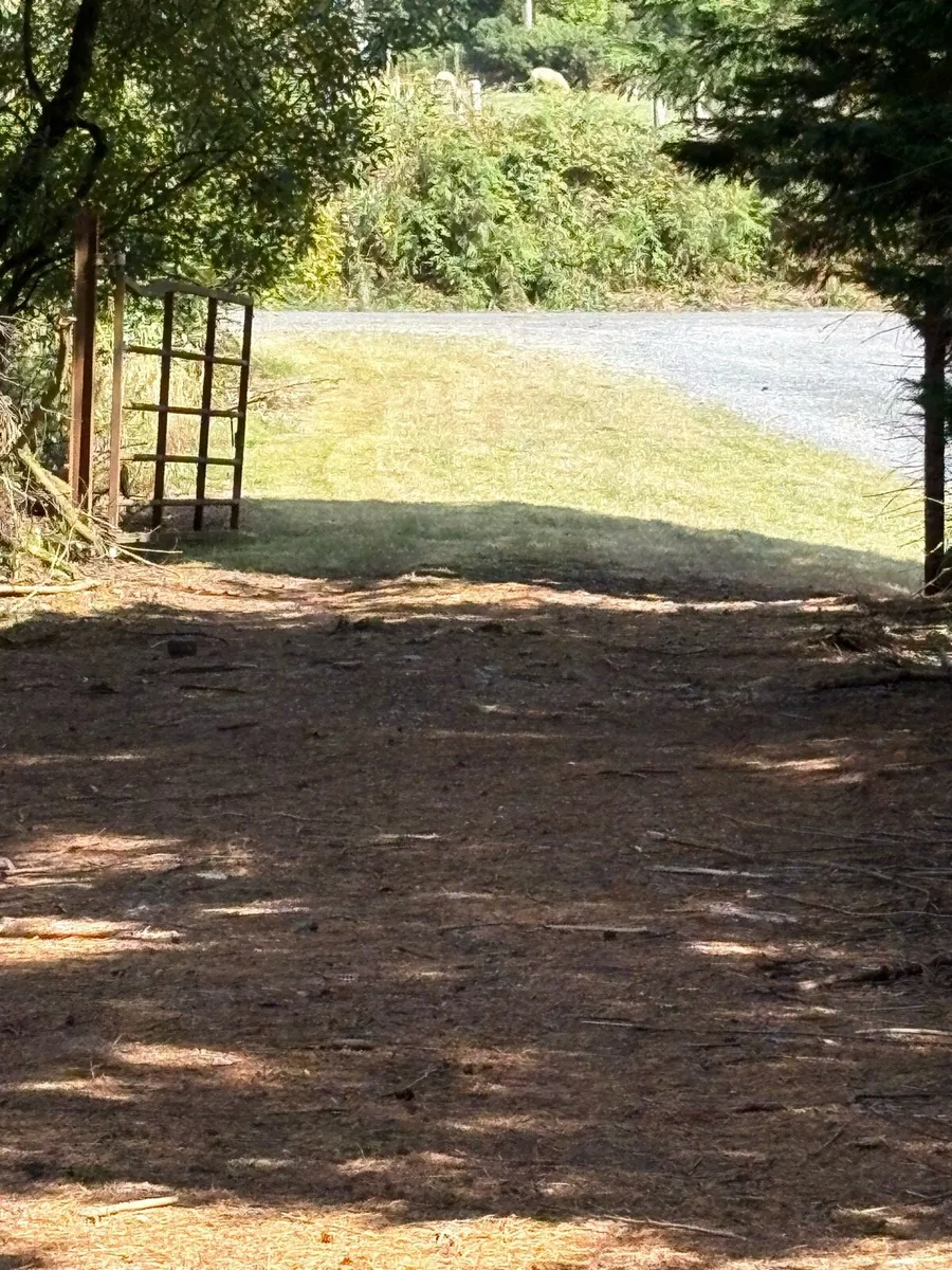 Hedge cutting services and general maintenance - Image 4
