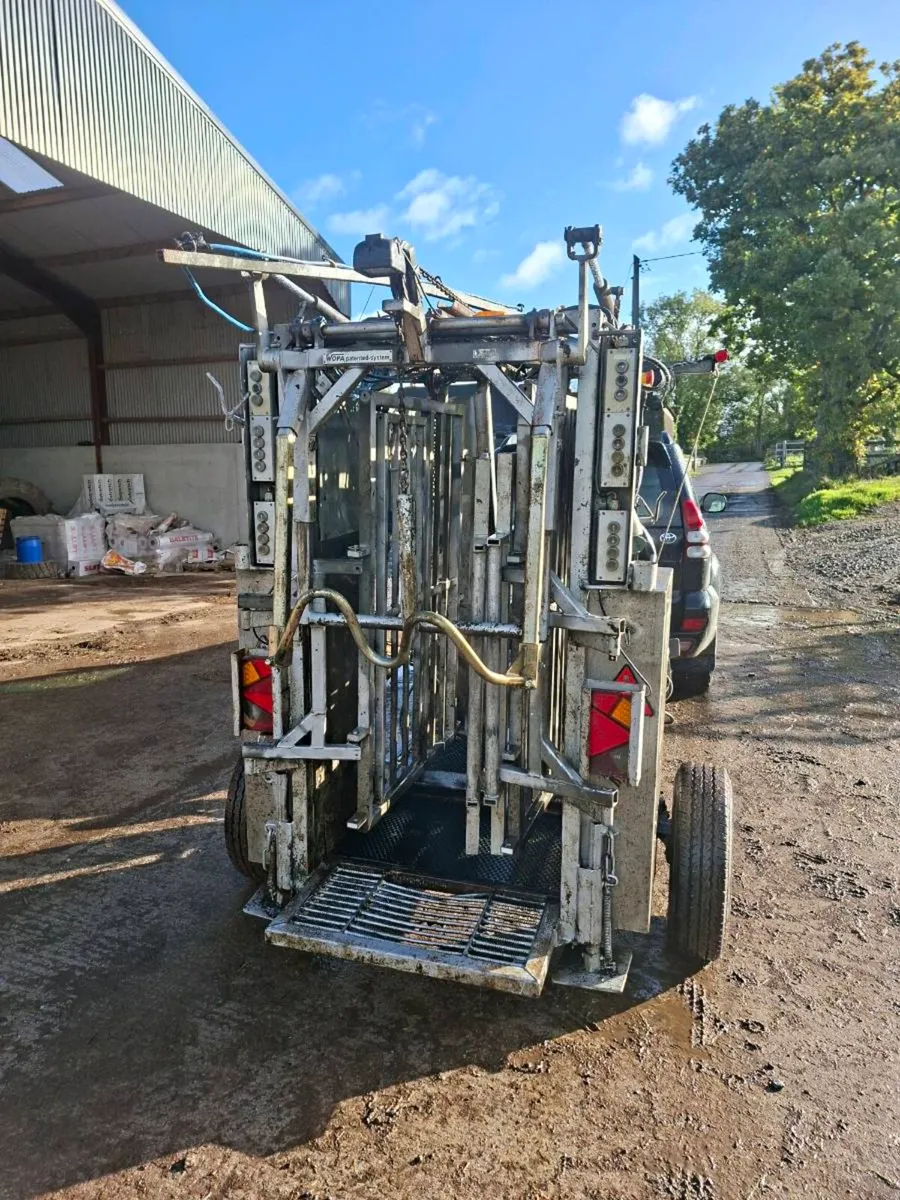 Wopa 51/freeze branding irons for sale - Image 2
