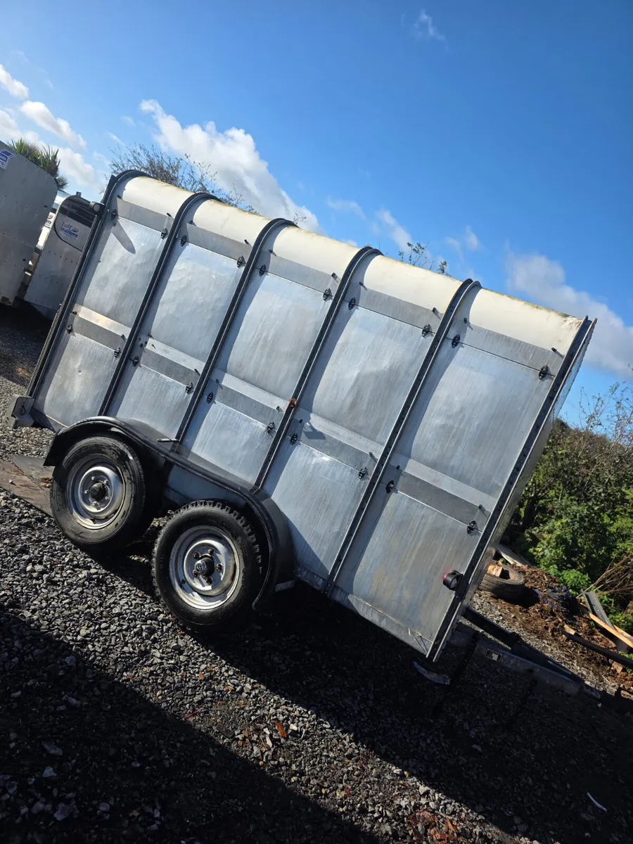 10x6 ifor Williams cattle trailer - Image 4