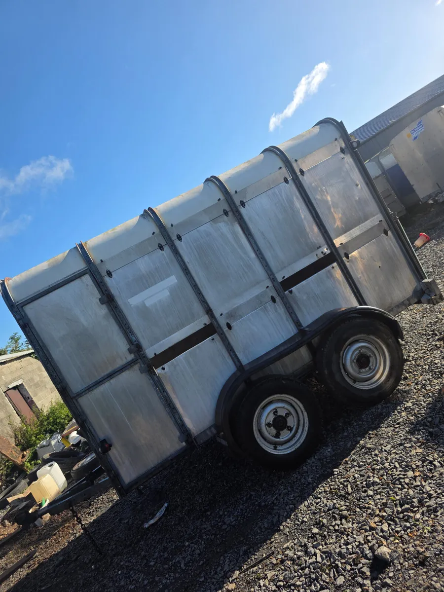 10x6 ifor Williams cattle trailer - Image 2