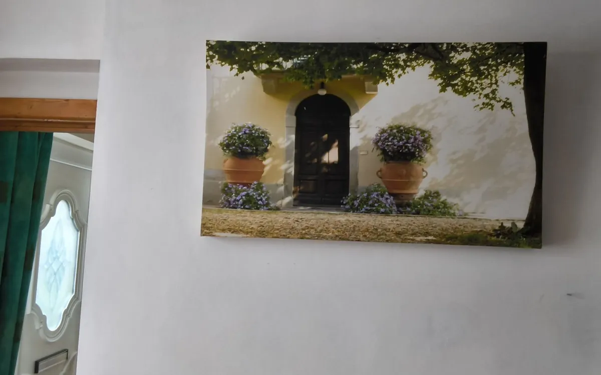 Lovely vibrant coloured picture on canvas - Image 2