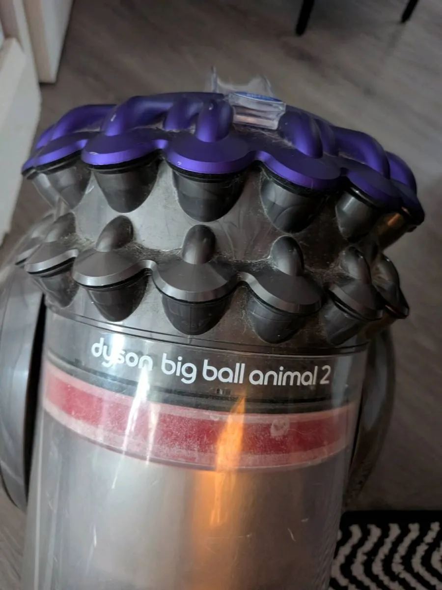 Dyson vacuum Big Ball Animal 2 - Image 1