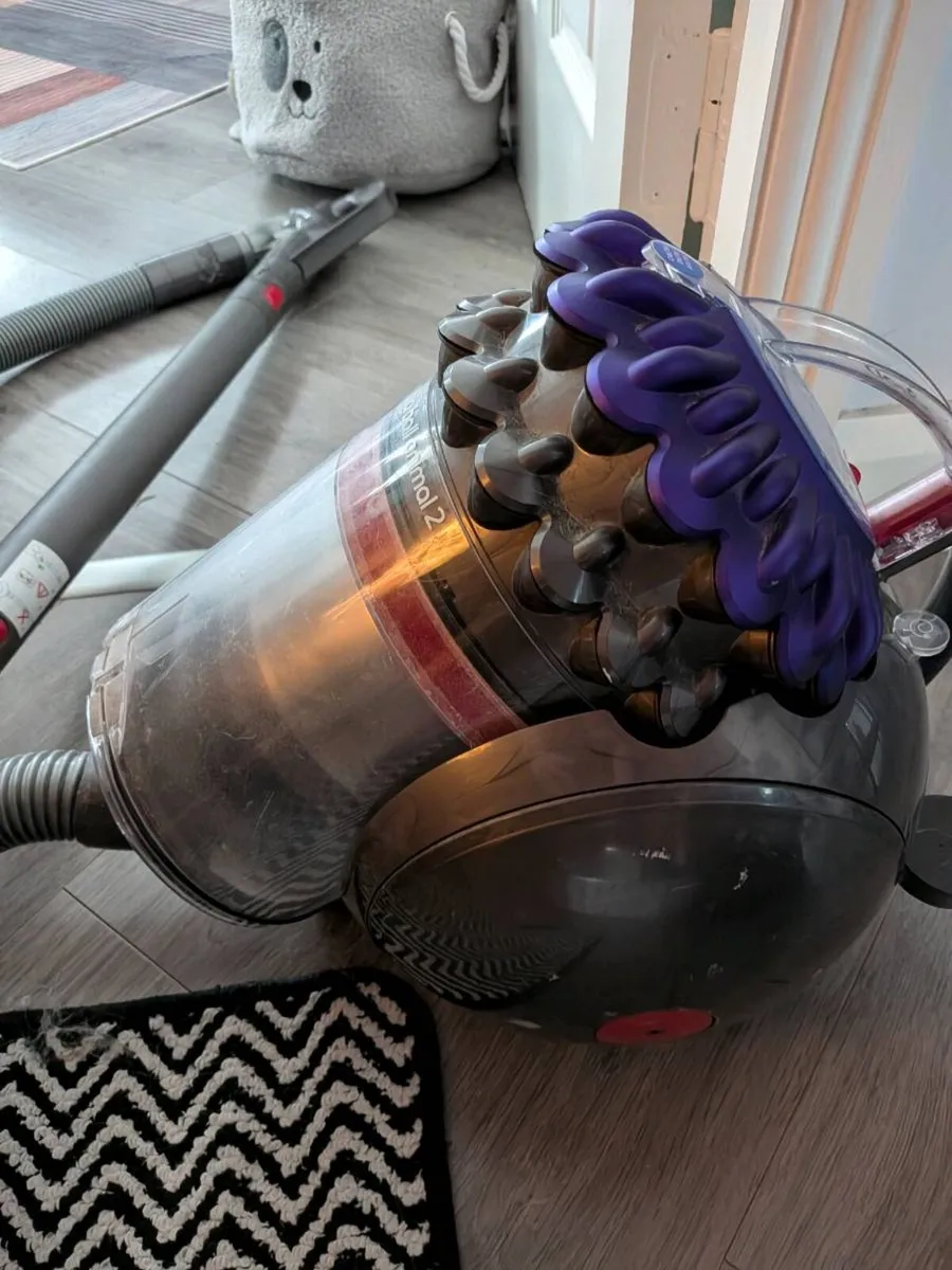 Dyson vacuum Big Ball Animal 2 - Image 2