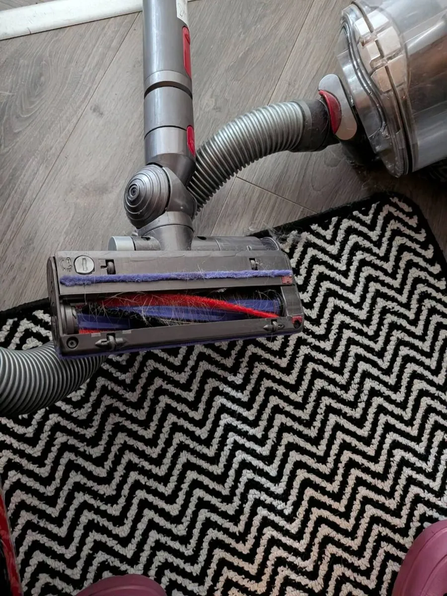 Dyson vacuum Big Ball Animal 2 - Image 3