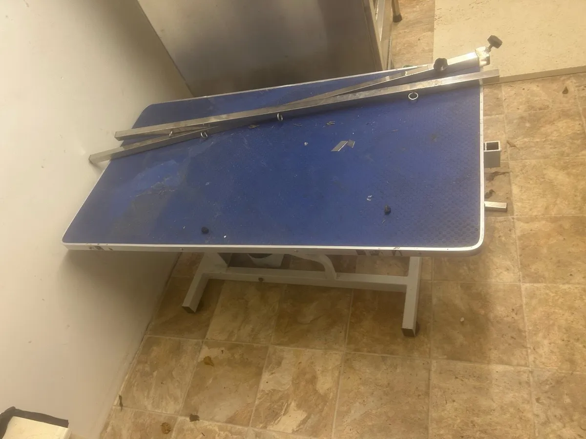 Dog grooming bath - Image 4