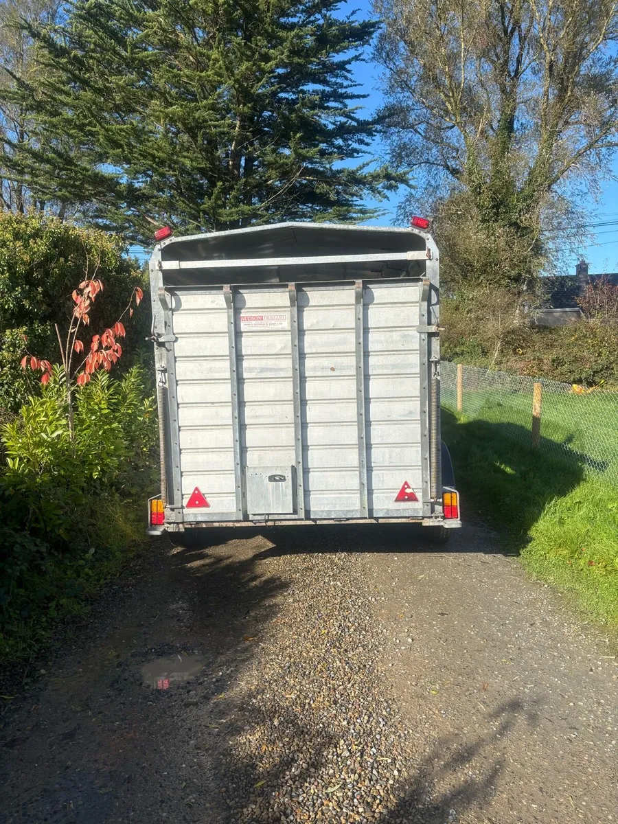 Hudson 12ft livestock box - Image 2