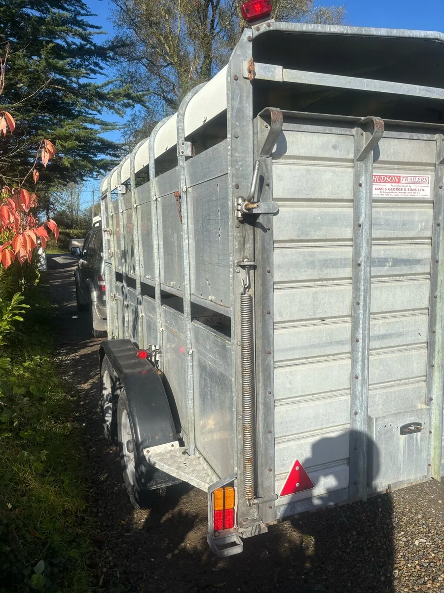 Hudson 12ft livestock box - Image 3