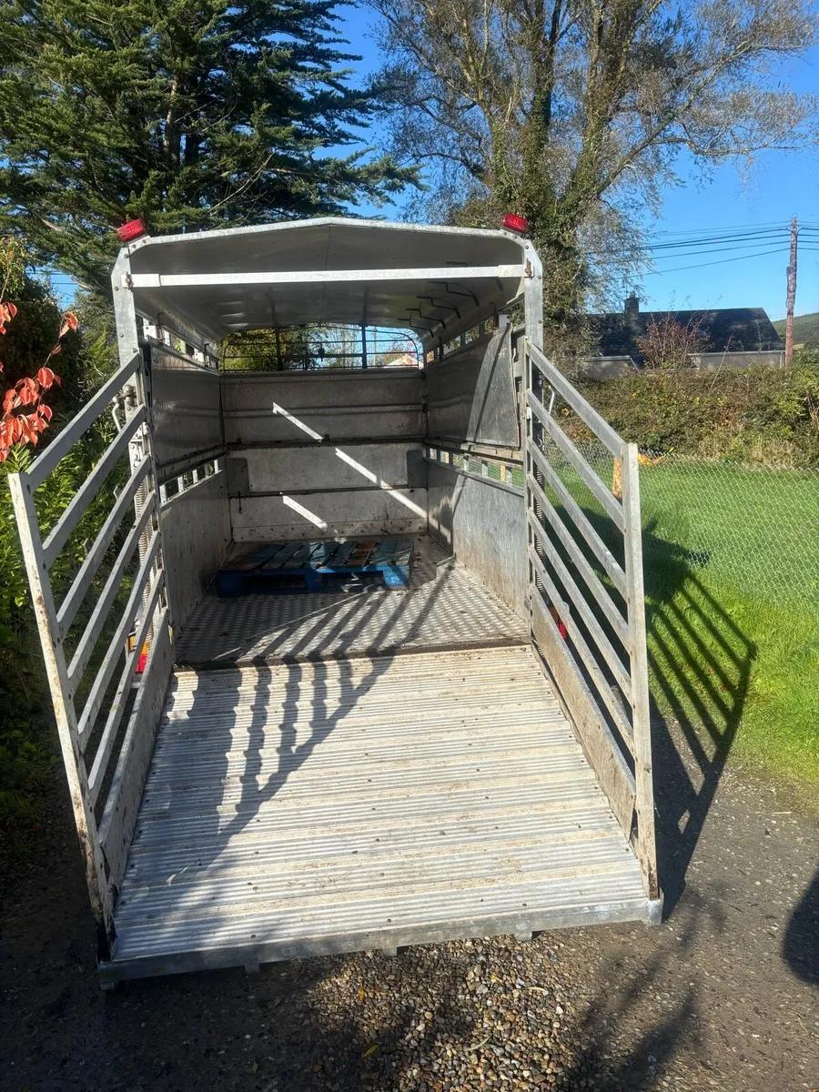 Hudson 12ft livestock box - Image 4