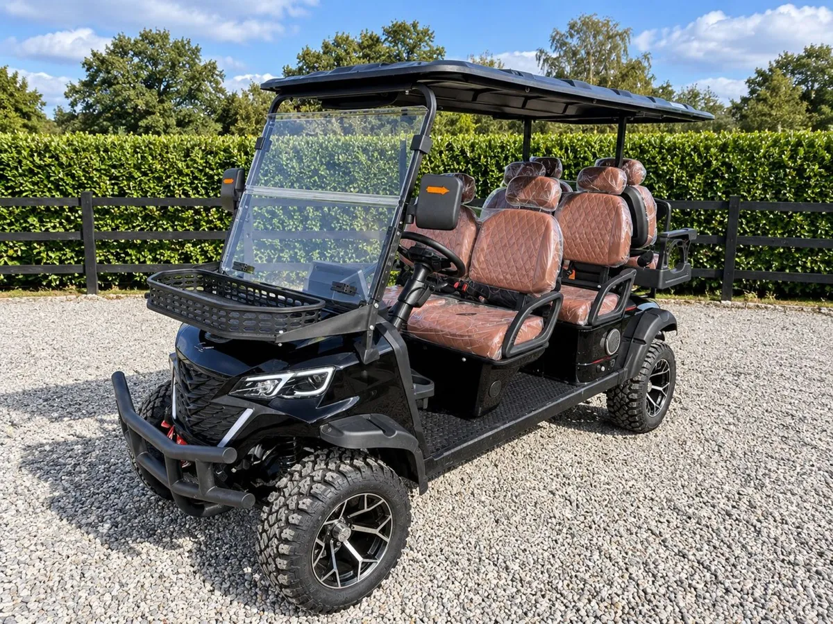 New Hightop 6-Seater Electric Golf Buggy - Image 1