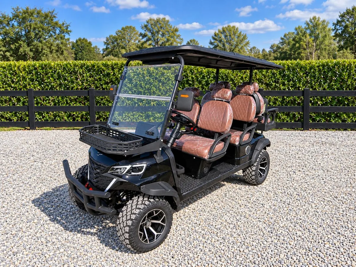 New Hightop 6-Seater Electric Golf Buggy - Image 2
