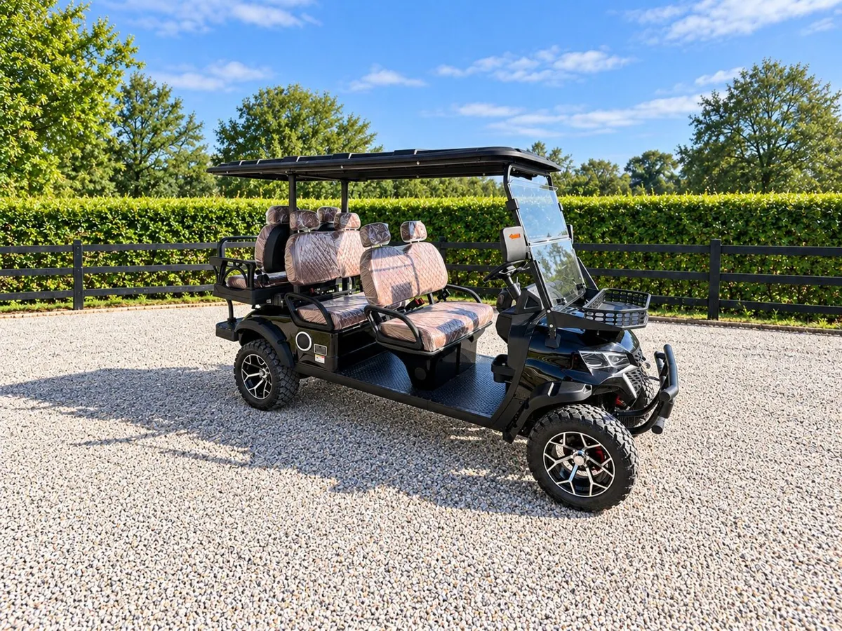 New Hightop 6-Seater Electric Golf Buggy - Image 3