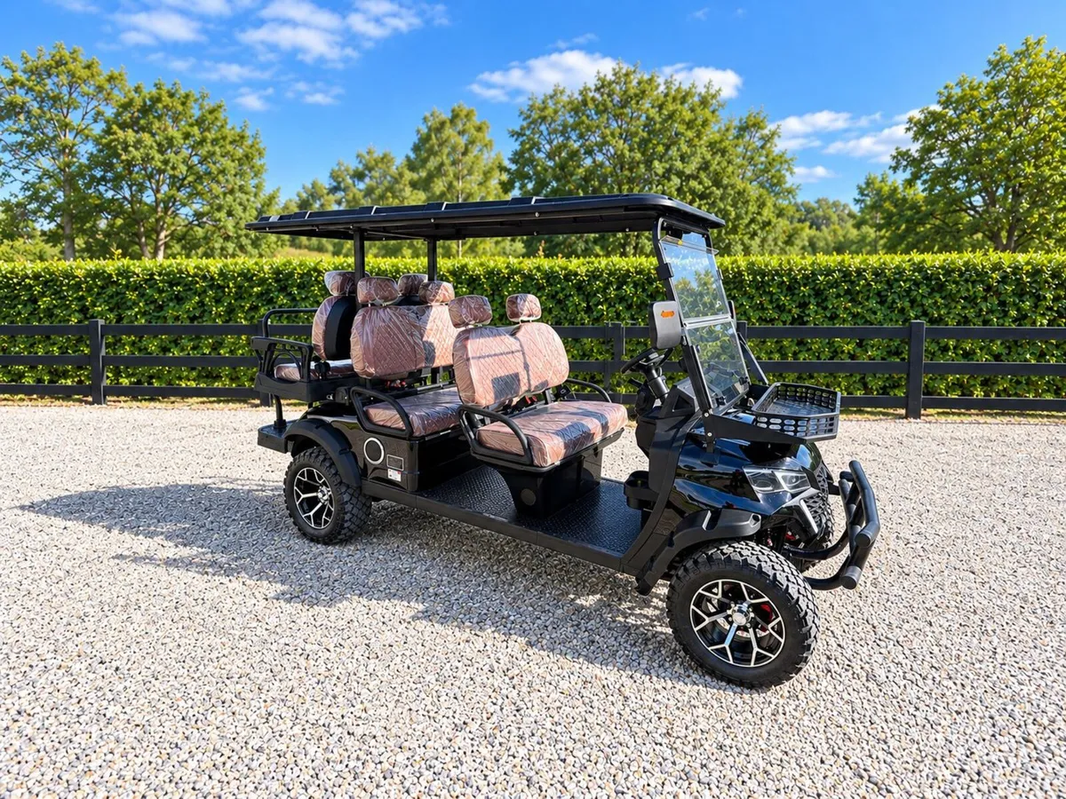 New Hightop 6-Seater Electric Golf Buggy - Image 4