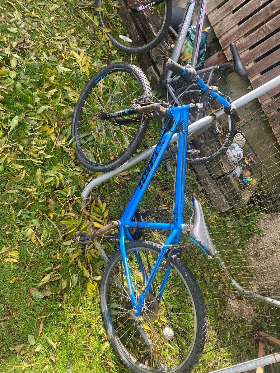 Bikes - Image 1