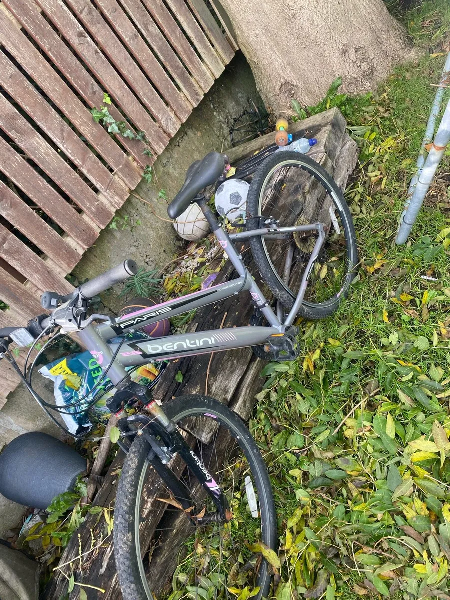 Bikes - Image 2