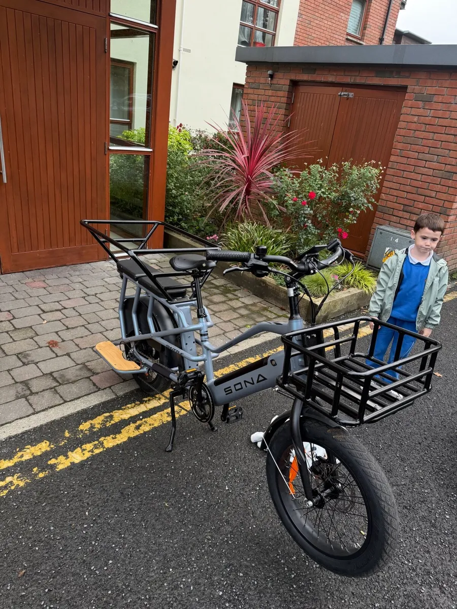 Cargo Bike - Image 4
