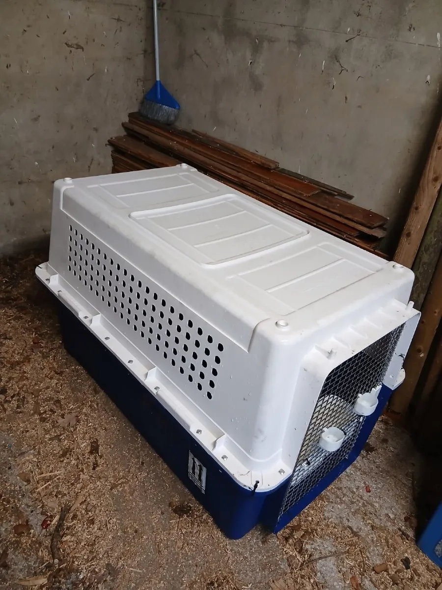 Air Crate for a Dog - Image 2