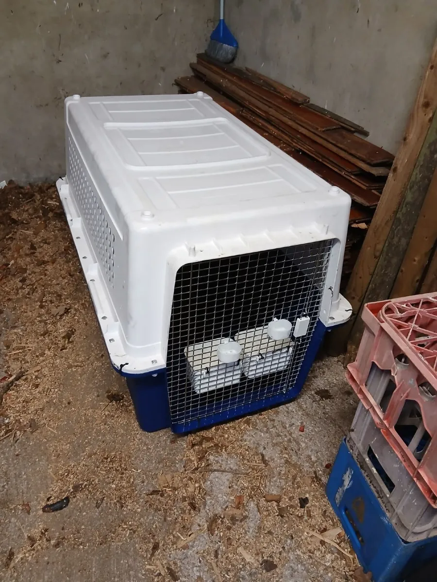 Air Crate for a Dog - Image 1