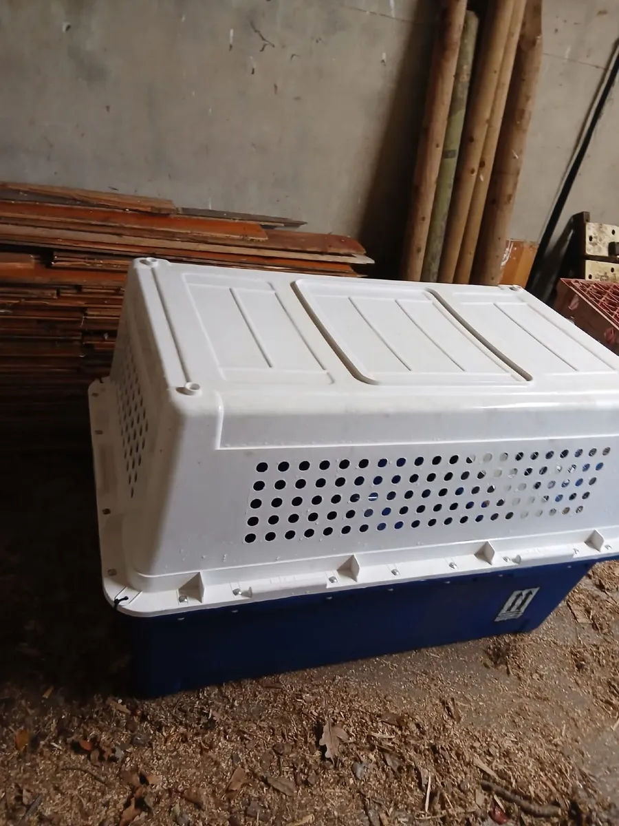 Air Crate for a Dog - Image 3